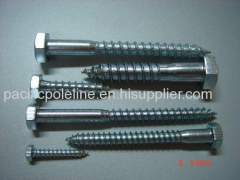 Square Lag Screws Hot Dipped Galvanized