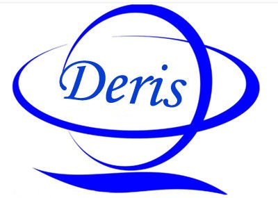 China Deris Petroelum Drilling Equipment Co.,LTD