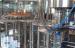 24 Heads PET Bottle Drinking Water Filling Plant With PLC Control