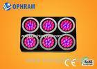 High Power IP20 Full Spectrum LED Grow Lights for Seedling / Leafy