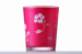 heat transfer pringting PS plastic tooth cup bouble thickness