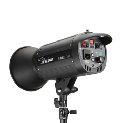 300w Black Shark II Studio flash light