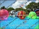 Adults Water walking Inflatable Water Ball For Rental Business / High Elastic
