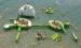Kids Backyard Inflatable Water Park With Repair Kits , watertoys Inflatable Party Rentals
