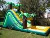Commercial Kids Jungle Inflatable Water Slide With Small Pool