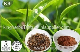 Black Tea Extract;Theaflavins 40% 60%, Polyphenols 25% 40%