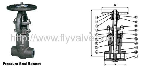 Class 900~2500 Pressure-seal Gate Valve