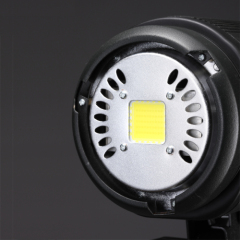 Continuous LED Video Light