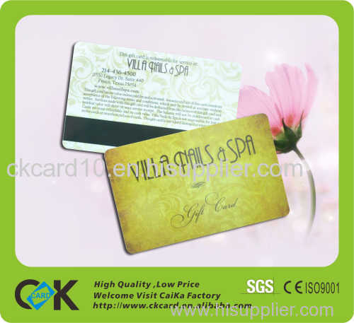 Silver Plastic PVC Magnetic VIP Card of guangdong 