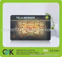 Silver Plastic PVC Magnetic VIP Card of guangdong