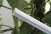 SMD 16Watt CRI 80 T5 LED Tube Light 1900lm , 2 Foot LED Tube Light 120pcs
