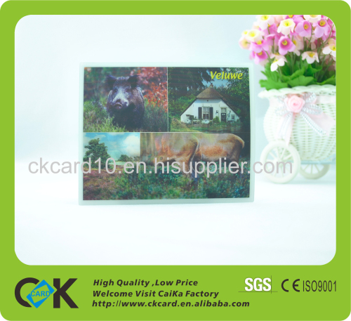 Factory price 3D Spring Butterfly Invitation Cards of GuangDong 
