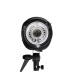 600w XZ-D Studio strobe lights with remote control