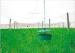 Eco-friendly Biodegradable Super Non Woven Landscape Fabric for Agricultural
