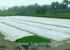 Spunbond Non Woven Agriculture Cover Fabric , Landscape PP Fabrics for Green House