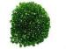 Russian Loose Nature Chrome Diopside Gemstones For Body Jewelry