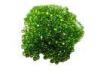 Russian Chrome Diopside Gemstones Natural Round For Gemstone Jewelry