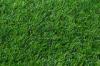Green Backyard Artificial Grass Turf Yarn,11600dtex Gauge 3/8 Synthetic Grass For Gardens