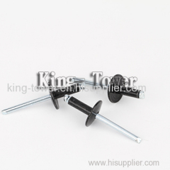 China screw manufacturer big head rivet