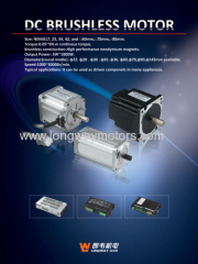 DC BRUSHLESS MOTOR WITH DRIVER