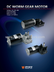 DC WORM GEAR MOTOR