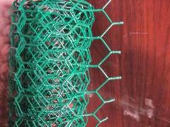 Plastic Coated Gabion mesh/box/ hexagonal wire netting