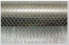 Plastic Coated Gabion mesh/box/ hexagonal wire netting