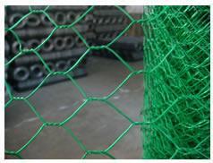 Plastic Coated Gabion mesh/box/ hexagonal wire netting