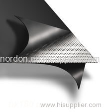 NGP-SG103 SS316 Tanged Reinforced Graphite Sheet