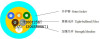 GJPFJH/GJPFJV-6A1/6 Core Indoor OM3 Multi-mode Distribution Fiber Optic Cable Manufacturer