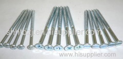 Wood Screw(all types of head and drive)