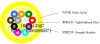 GJPFJH/GJPFJV-12B1/12 Core Indoor Single-mode Distribution Fiber Optic Cable Manufacturer GJPFJH/GJPFJV-12A1/12 Core Ind