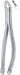 Tooth Ext Forceps Amr /Dental Forceps