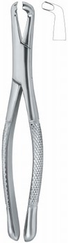 Tooth Ext Forceps Amr/Dental Instruments/Dental Forceps