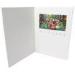 video greeting card digital birthday cards