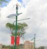 300W Vertical Axis Wind Turbine in street light system(200W-10KW)