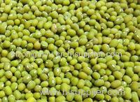 Green mung bean for sale