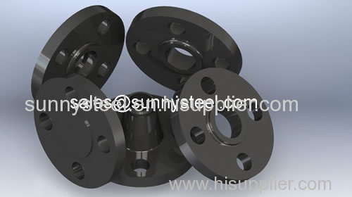 Forged Flange and Forged steel flanges