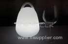 Plastic Eco-friendly Remote Led Decorative Lights , Portable Christmas Lights