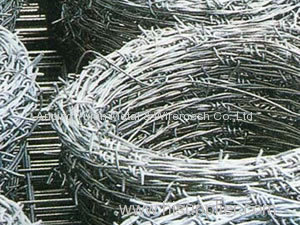 Hot-Dipped Galvanized Barbed Wire