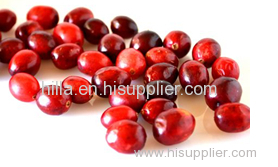 Cranberry Extract Proanthocyandin Anthocyanidin