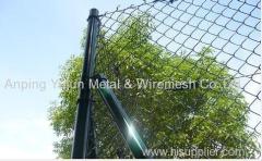 chain link fence--PVC Coated Paint Chain Link Fence (Supplier)