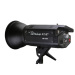 300w High Speed Studio Flash Light