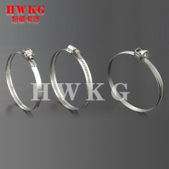 American stainless steel hose clamp