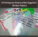 Different hologram patterns destructive eggshell sticker papers