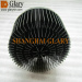 GLR-PF-11040 110mm 20W drilled round cold forged heatsink