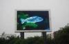 Light Weight Outdoor Advertising LED Display , p10 Outdoor Full Color LED Display