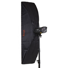 Strip camera softbox with grids