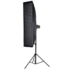 Strip camera softbox with grids