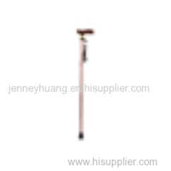 Extendable Plastic Handled Walking Stick with Engraved Pattern